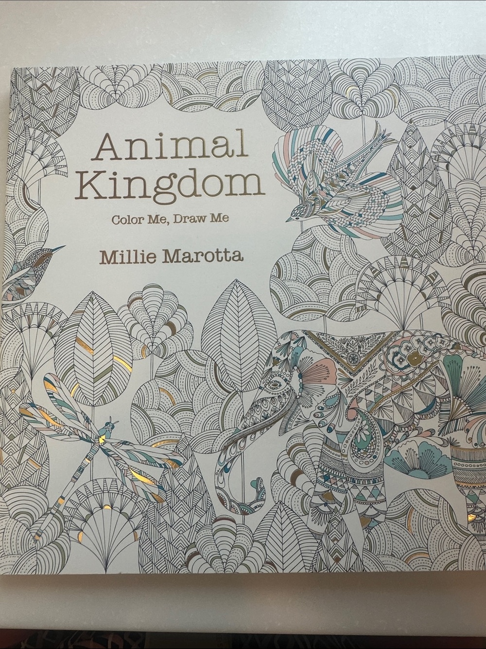 Coloring Book